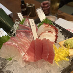 麹村 - 鮮魚４点盛り合わせ