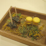 イタリアンレストラン Zucca - 