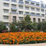 ディズニーアンバサダーホテル - 