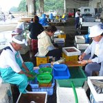 いろりや - ＜入野漁港＞メッキなどの小魚は入野漁港で買い付けしています。店から車で5分。