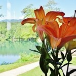 道の駅　いりひろせ - お店様内から外を見た様子①です(2013/7/22UP)