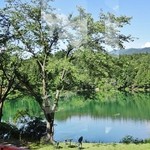 道の駅　いりひろせ - お店様内から外を見た様子③です(2013/7/22UP)