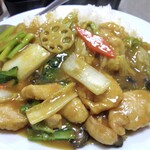 老広東 - 加里鶏片飯（大盛）