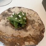 Installation Table ENSO L'asymetrie du calme - 