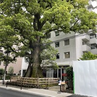 クリマ ディ トスカーナ - 