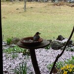 くつきそば 永昌庵 - 