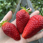 姫路ハートフル観光農園 - 