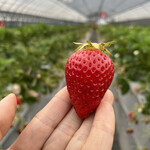 姫路ハートフル観光農園 - 