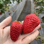 姫路ハートフル観光農園 - 