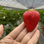 姫路ハートフル観光農園 - 