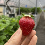 姫路ハートフル観光農園 - 