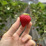 姫路ハートフル観光農園 - 