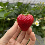 姫路ハートフル観光農園 - 