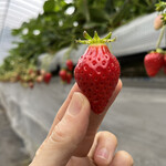 姫路ハートフル観光農園 - 