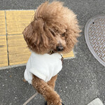 THE NUTS EXCHANGE - 風になびくシェリの毛ｗ