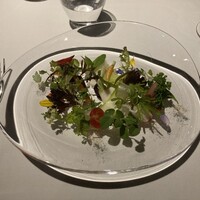 レフェルヴェソンス - 