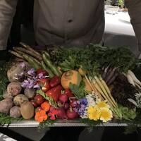 レフェルヴェソンス - 