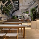 ザ プールサイド - ガラス張りのサンルーフのあるリハビリ用の水中運動プールをお洒落なカフェ&バーに生まれ変わらせています
広々とした空間をゆったり使ってあります
テーブル2席×8卓、テーブル4席×9卓の合計52席