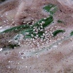 伍法 - 胡麻タンタン汁。