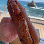 志賀島ドッグ 本店 - 粗挽きフランクとハンバーグのミックスドッグ600円