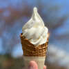 ぎふ大和パーキングエリア - 料理写真:郡上牛乳ソフトクリーム☆