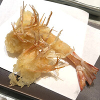 天冨良 よこ田 - 