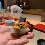 照寿司 - イカ、ウニ