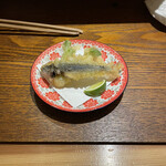 Yozushi - 