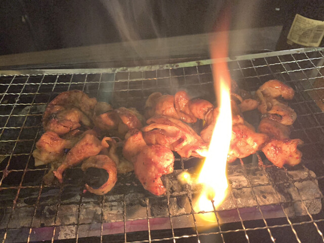 Tonchan Ganko Chan Ikenaka Ten photo 3