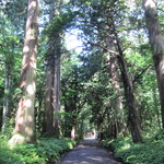 うずら家 - 奥社へと続く杉並木★