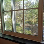 CAFE たまゆら - 店内から外を