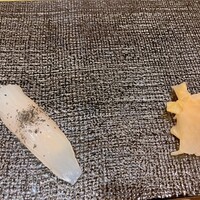 名古屋 栄 鮨 栄華 - 