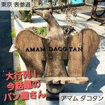 amam dacotan - 