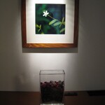 카루이자와 푸딩스 호텔 이스토