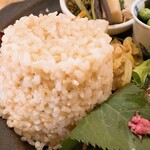 ハッコウ ルパン - 有機野菜と発酵料理ランチ　鰆の桜花三五八漬け焼き