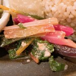 ハッコウ ルパン - 有機野菜と発酵料理ランチ　鰆の桜花三五八漬け焼き