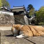 麺処 おぐら - 備中松山城