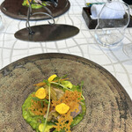 クイントカント - 