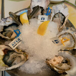 Oyster Bar ジャックポット - 