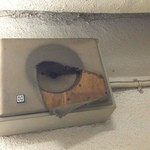 楽園ビアガーデン - 