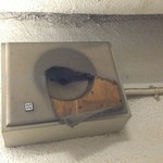 楽園ビアガーデン - 