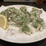 味噌おでん くろさわ - 山菜採りが趣味のお友達からもらったコシアブラを天ぷらにしてもらいました。