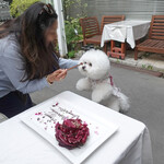 エビスエスクラッシコ - Here's your turn, Beatrice