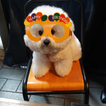 エビスエスクラッシコ - Here comes a big time!!