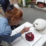 エビスエスクラッシコ - Happy Birthday〜♬