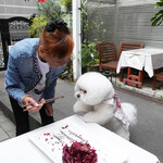 エビスエスクラッシコ - 思わず手が出てしまいますネ