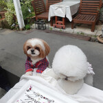 エビスエスクラッシコ - Who's next??