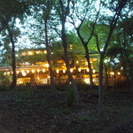 鰻割烹 伊豆栄 梅川亭 - 下から見上げると、雰囲気あります
