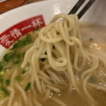 アイアイラーメン - 