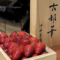 スガラボヴィー - 